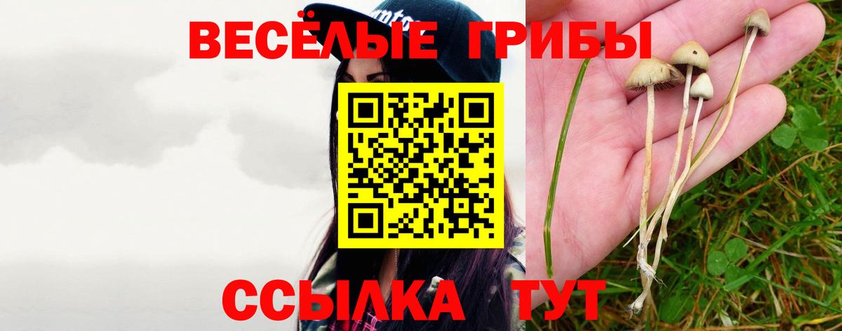 Псилоцибиновые грибы GOLDEN TEACHER Сибай